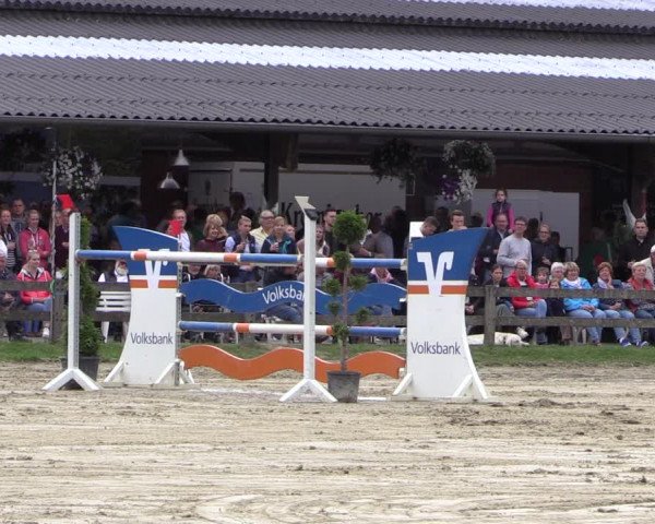 Reitturnier Münster-Roxel 2019