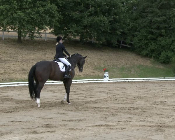 Reitturnier Vlotho-Exter 2019