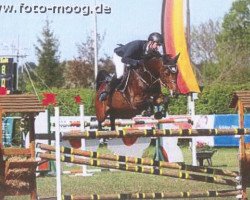 jumper Last Minute 64 (Oldenburg, 2007, from Lord Pezi)