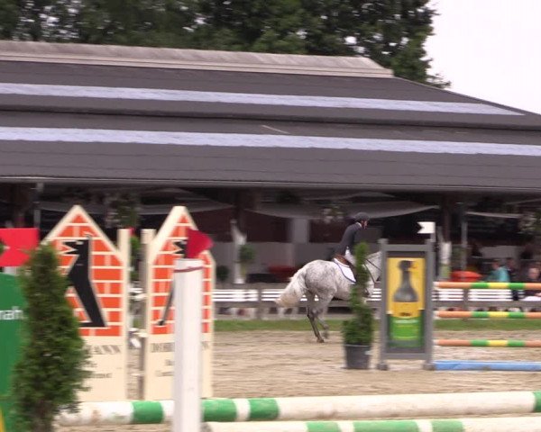Reitturnier Münster-Roxel 2019