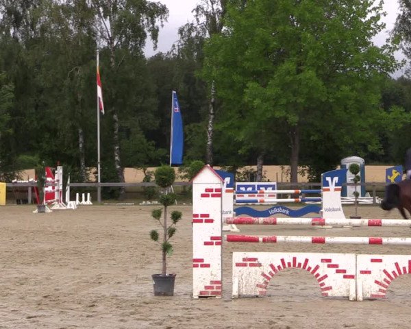 Reitturnier Münster-Roxel 2019