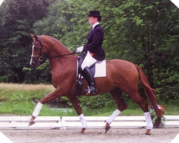 dressage horse Imposant (Trakehner, 1997, from Ivernel)