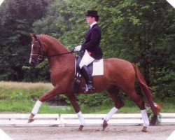 Dressurpferd Imposant (Trakehner, 1997, von Ivernel)