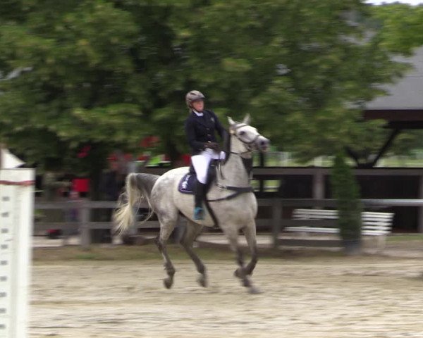 Reitturnier Münster-Roxel 2019
