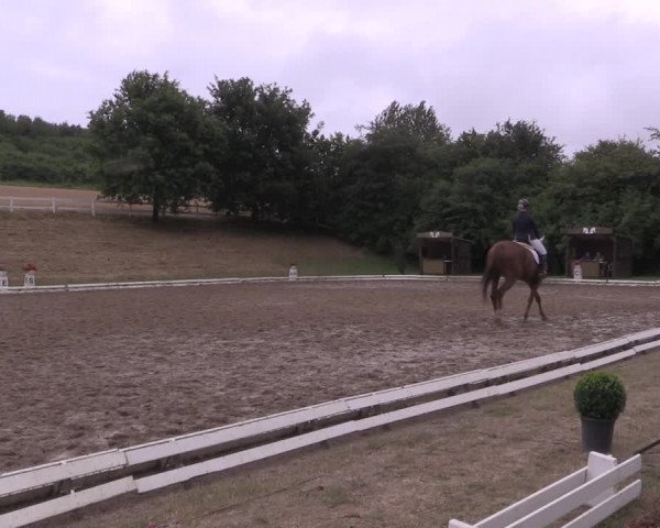 Reitturnier Vlotho-Exter 2019