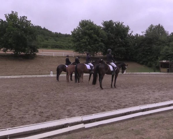 Reitturnier Vlotho-Exter 2019