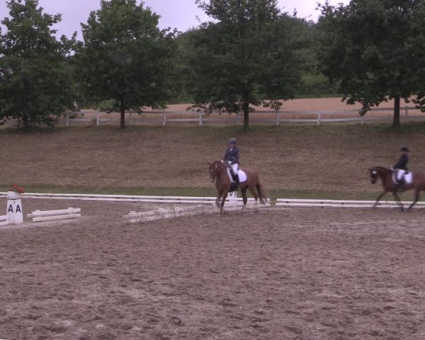 Reitturnier Vlotho-Exter 2019