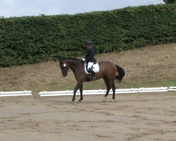Reitturnier Vlotho-Exter 2019