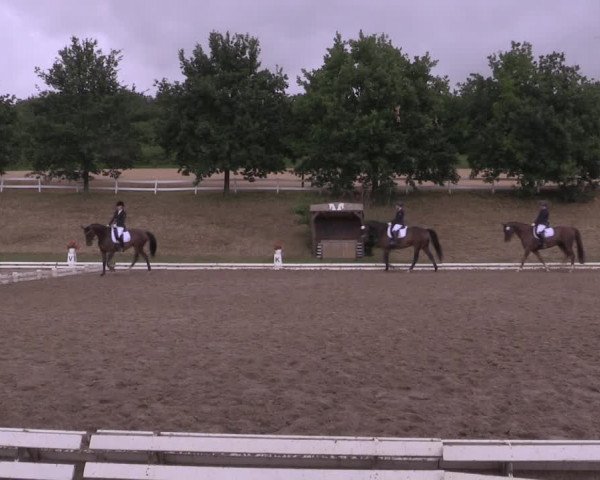 Reitturnier Vlotho-Exter 2019