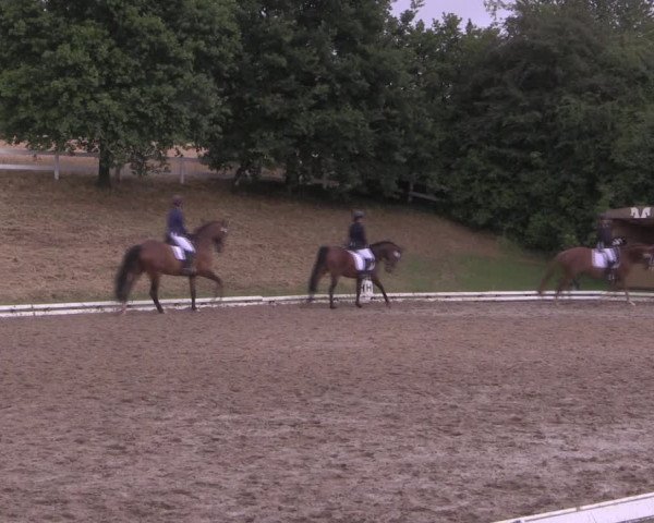 Reitturnier Vlotho-Exter 2019
