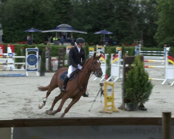 Reitturnier Vlotho-Exter 2019