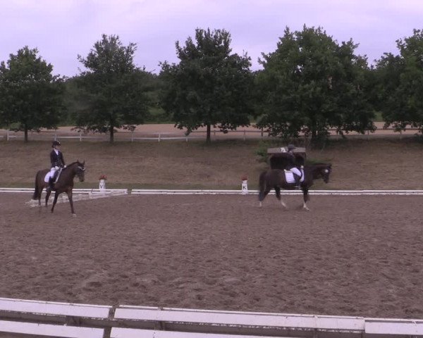 Reitturnier Vlotho-Exter 2019