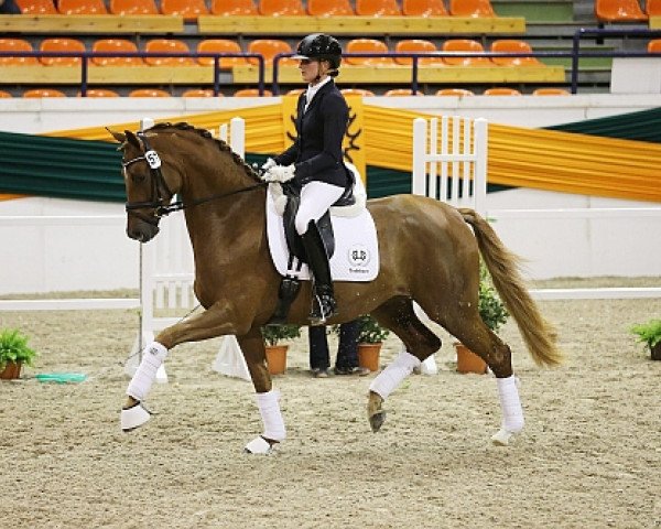 broodmare Hannah 48 (Trakehner, 2010, from Imperio 3)