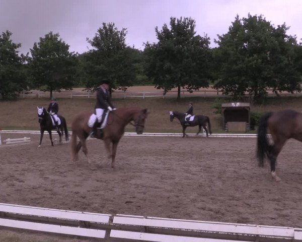 Reitturnier Vlotho-Exter 2019