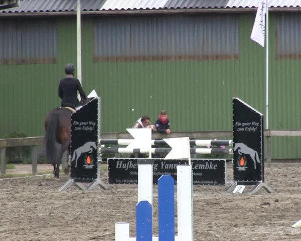 Reitturnier Süderlügum 2019
