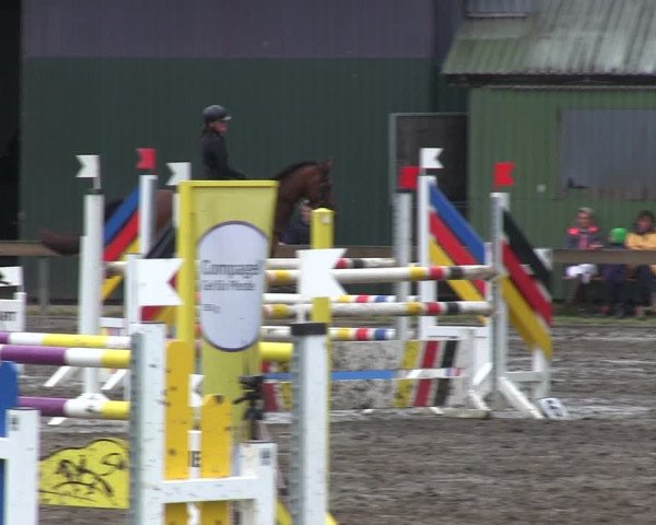 Reitturnier Süderlügum 2019