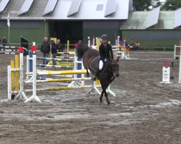 Reitturnier Süderlügum 2019