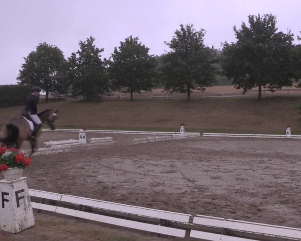 Reitturnier Vlotho-Exter 2019
