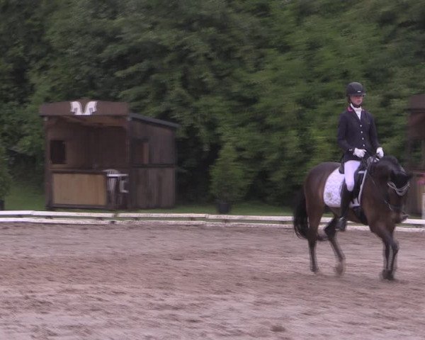 Reitturnier Vlotho-Exter 2019