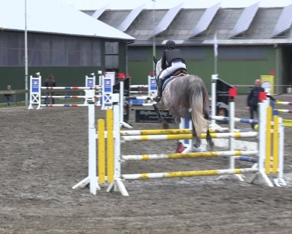 Reitturnier Süderlügum 2019