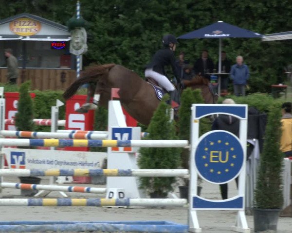 Reitturnier Vlotho-Exter 2019