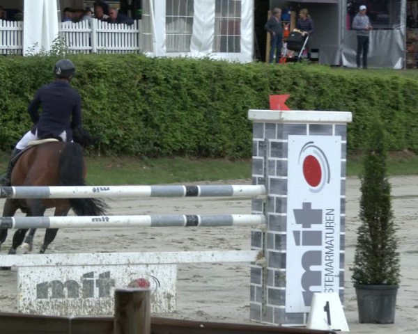 Reitturnier Vlotho-Exter 2019