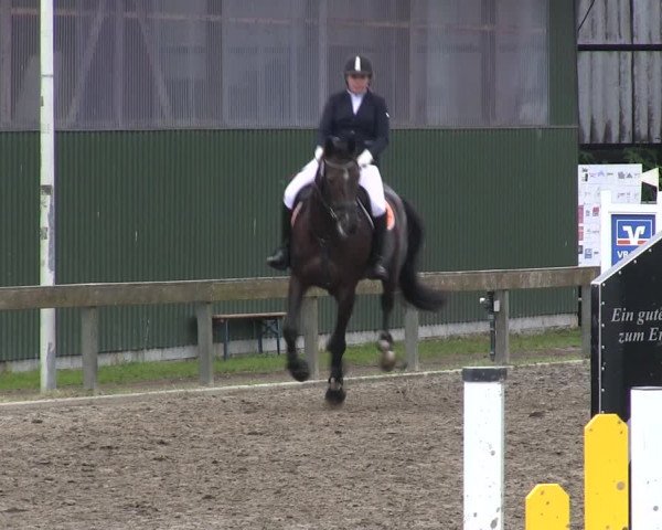 Reitturnier Süderlügum 2019