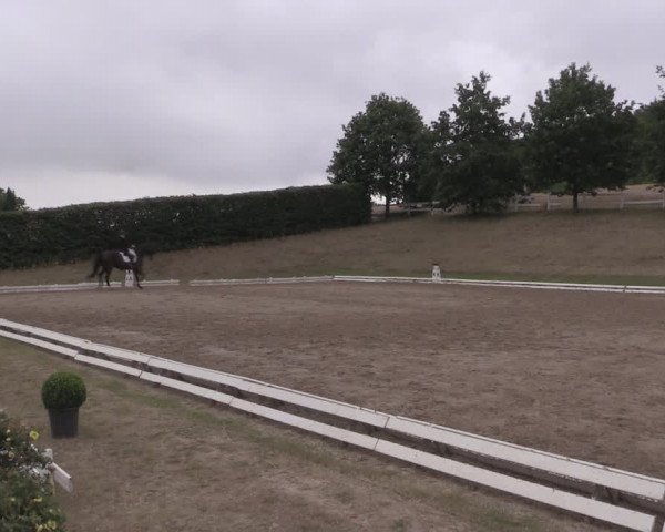 Reitturnier Vlotho-Exter 2019