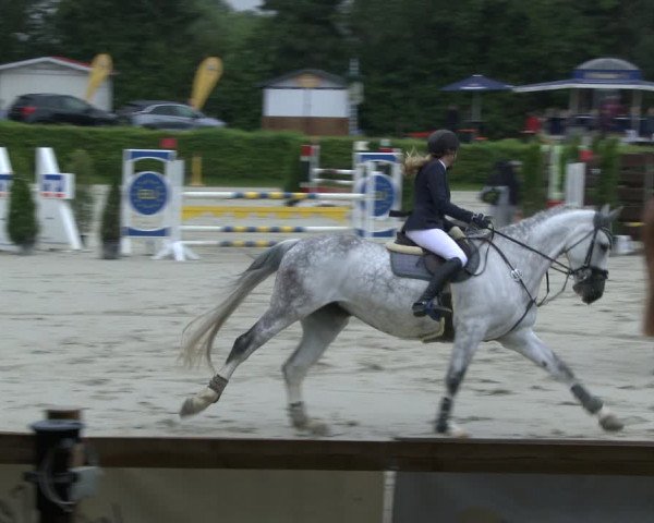 Reitturnier Vlotho-Exter 2019