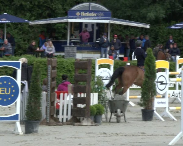 Reitturnier Vlotho-Exter 2019
