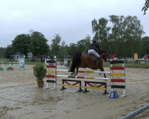 Reitturnier Herbern 2019