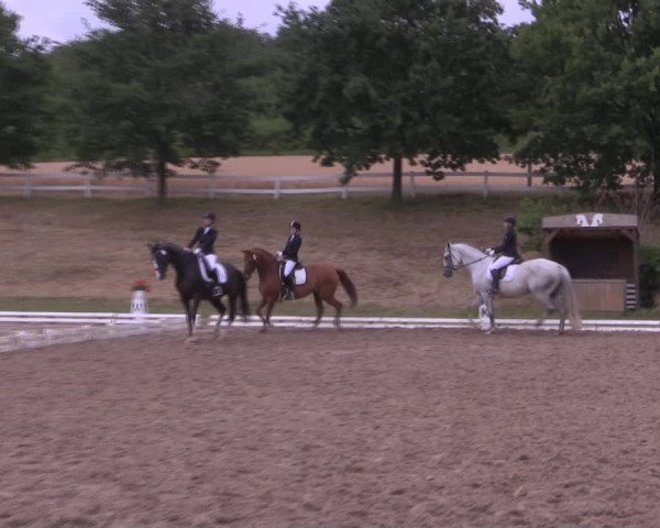 Reitturnier Vlotho-Exter 2019