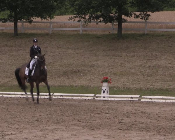 Reitturnier Vlotho-Exter 2019