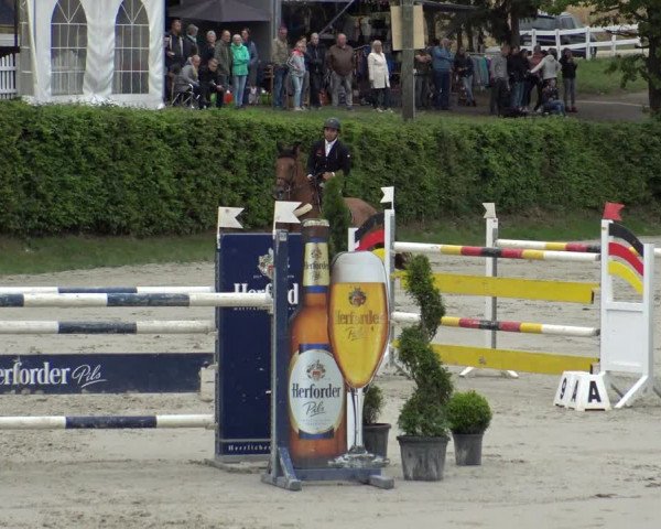 Reitturnier Vlotho-Exter 2019