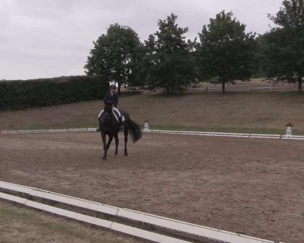 Reitturnier Vlotho-Exter 2019