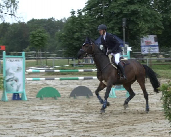 Reitturnier Herbern 2019