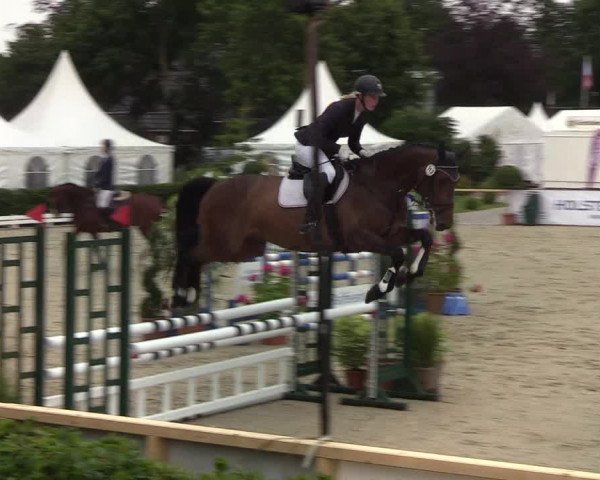 Reitturnier Hörup 2019