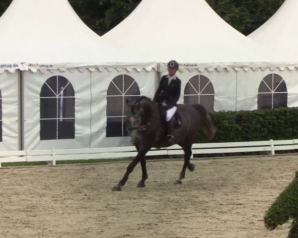 Reitturnier Hörup 2019
