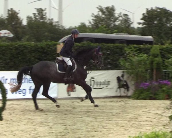 Reitturnier Hörup 2019