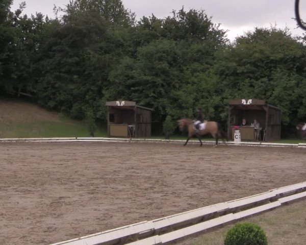 Reitturnier Vlotho-Exter 2019
