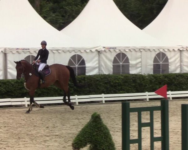 Reitturnier Hörup 2019