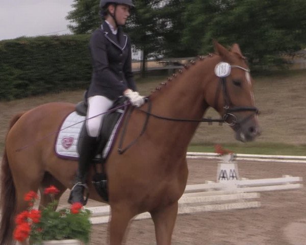 Reitturnier Vlotho-Exter 2019