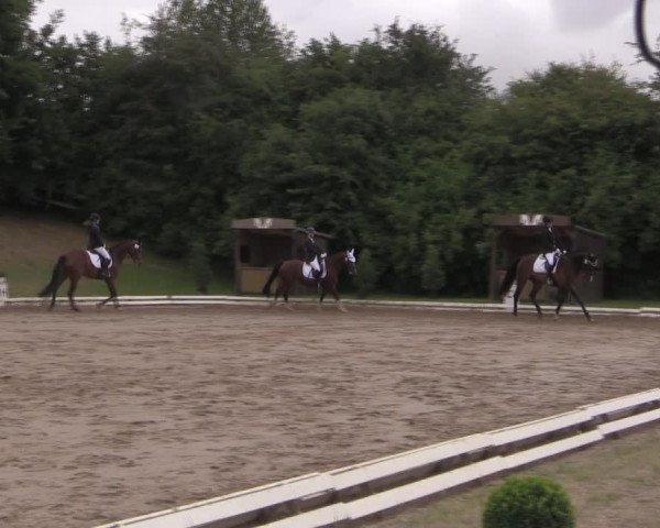 Reitturnier Vlotho-Exter 2019