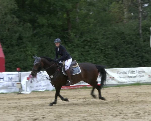 Reitturnier Herbern 2019