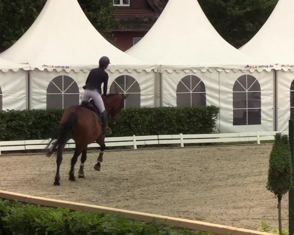 Reitturnier Hörup 2019