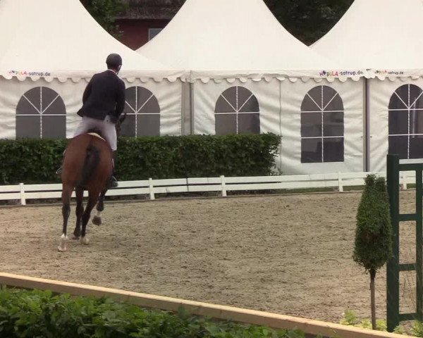 Reitturnier Hörup 2019
