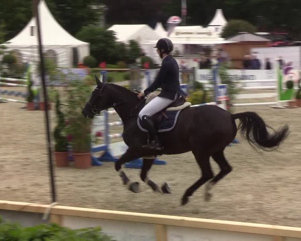 Reitturnier Hörup 2019