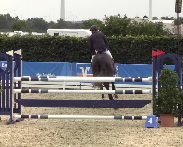 Reitturnier Hörup 2019