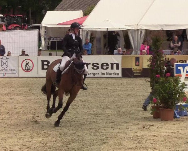 Reitturnier Hörup 2019