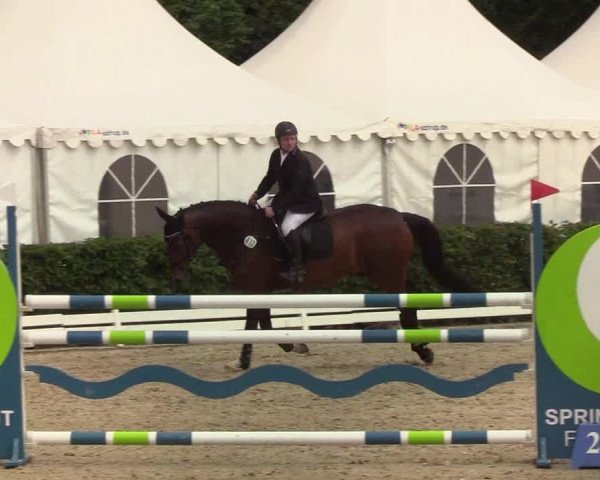 Reitturnier Hörup 2019